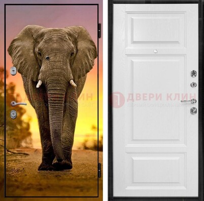 Металлическая дверь с фотопечатью слона ДФ-30 в Климовске