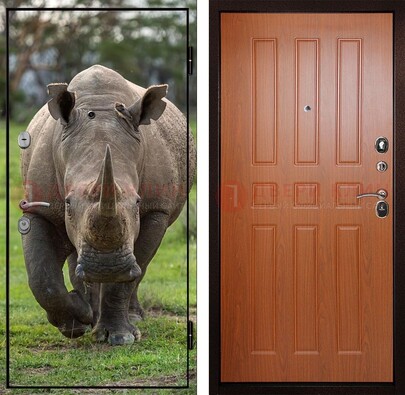 Металлическая дверь с фотопечатью носорога ДФ-31 в Климовске